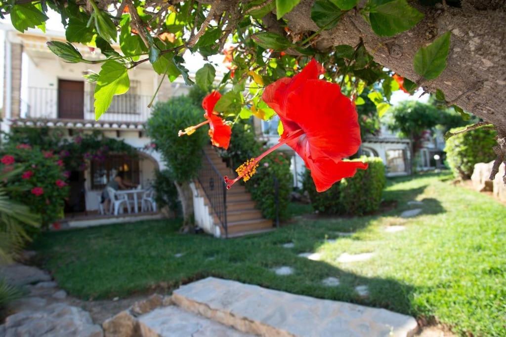 Appartement Casa En Denia Con Piscina Y Jardin Extérieur photo