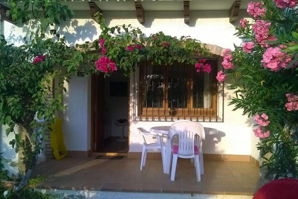 Appartement Casa En Denia Con Piscina Y Jardin Extérieur photo